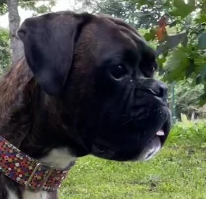 IVY Kopf 23 IVY Kopf 23