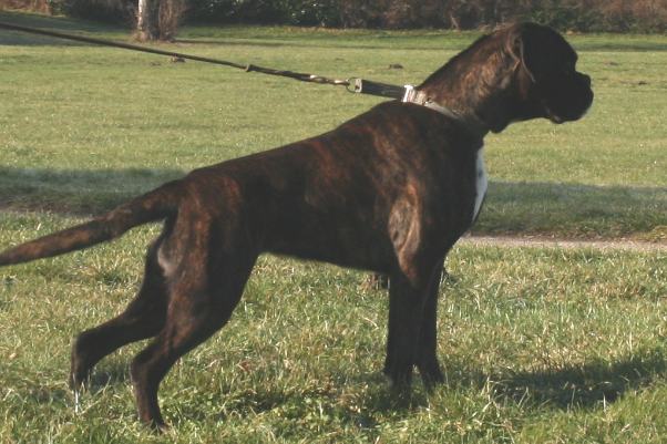 Ivy stand9 Ivy stand9