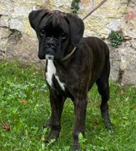 Ivy stand 1 Ivy stand 1